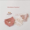 SET 3 QUẦN CHIP CHẤT LIỆU COTTON HOẠ TIẾT GẤU THỎ SIZE M