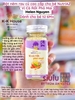 BỘT NÊM RAU CỦ HỮU CƠ CAO CẤP NUTRIAZ ( 6M+ )