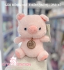 GẤU BÔNG HẠT THƠM (16CM)