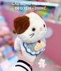 GẤU BÔNG MÈO NHỎ ĐEO YẾM