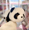 GẤU BÔNG - PANDA/PANDA ĐỎ 2IN1