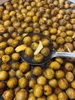 SẤU NGÂM ĐƯỜNG PHÈN HỘP 800G