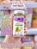 BỘT NÊM RAU CỦ HỮU CƠ CAO CẤP NUTRIAZ ( 6M+ )