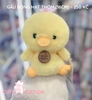 GẤU BÔNG HẠT THƠM (16CM)