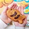 BÁNH BÔNG LAN CÁ NHÂN CHOCOLATE HQ HỘP 6 CHIẾC 174G