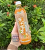 TRÀ HOA NHÀI MẬT ONG KANGSHIFU CHAI 500ML