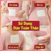 MIẾNG DÁN GIỮ NHIỆT