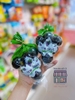 THẠCH NỔ NHO ĐEN KYOHO VÀ XANH OKCHEON - TÚI 7 VIÊN ( HSD :12/02/2025)