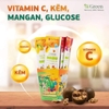 THẠCH KOMBUCHA MIX VỊ TÚI 15KS