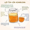 THẠCH KOMBUCHA MIX VỊ TÚI 15KS