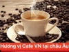 CÀ PHÊ G7 HỘP 336G ( 21 GÓI X 16G ) (02.11.2027)
