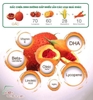 DẦU GẤC ECO FOOD CHAI 60ML ( 6M+ ) (HSD: 12.08.2027 )