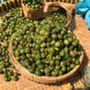 ĐẬU HÀ LAN TỎI ỚT HỘP 350g