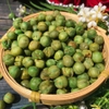 ĐẬU HÀ LAN TỎI ỚT HỘP 350g