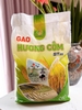 GẠO ST25 HƯƠNG CỐM - BAO 9KG