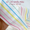 4C | Cotton 4c kẻ sọc cho bé trai, bé gái, bố mẹ, mịn mát sờ là thích, mặc là mê