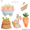 Set hình ủi cho bé (Mã: MO1 - MO22)