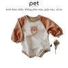 Gấu nâu cute