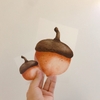 Quả dẻ nâu