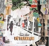 đĩa than NHIỀU CA SĨ - TÌNH KHÚC VŨ THÀNH AN