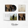 đĩa than ĐÌNH BẢO - THE SHADOW