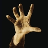 đĩa than SYSTEM OF A DOWN - SYSTEM OF A DOWN