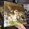 đĩa than SZA- CTRL (X) (2LP/TRANSLUCENT GREEN VINYL/DL CARD)