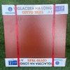 Gạch lát Cotto tráng men đỏ Viglacera Hạ Long