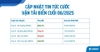 Cập Nhật Cước Vận Tải Biển Cuối Tháng 6/2025 – Xu Hướng Và Diễn Biến Mới Nhất