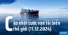 Cước Vận Tải Biển Thế Giới (Cập nhật 11.12.2024)