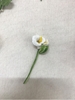 BROOCHES RUM
