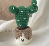 FLOWER POTS CACTUS 6