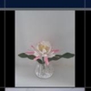 FLOWER BRANCHES EPIPHYLLUM