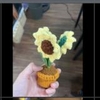 FLOWER POTS 3 SUNFLOWER FLOWER POT