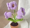 FLOWER POTS 5 CONVALLARIA POT-purple