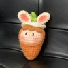 FRUIT GIRLS RABBIT CARROT