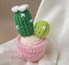 FLOWER POTS DOUBLE-CACTUS POT