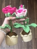 FLOWER POTS 3 MIXED COLOUR SMALL CHRYSANTHEMUM POT