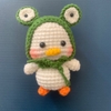 DUCK COSPLAY - FROG