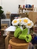 FLOWER POTS 6 CHRYSANTHEMUM POT