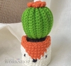 FLOWER POTS FOX CACTUS