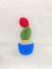 FLOWER POTS CACTUS 10