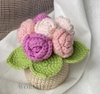 FLOWER POTS 6 MIXED COLOUR ROSE POT-light dark pink