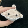 OCEAN SMALL STINGRAY FISH-green
