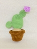 FLOWER POTS CACTUS 12