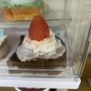 Nến tạo hình