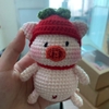 PIGGY & GIRLS PIGGY TOMATO
