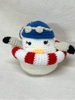 PIRATES DUCK FLOAT DUCK
