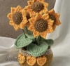 FLOWER POTS 6 SUNFLOWER POT