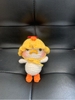 DUCK COSPLAY CHICKEN